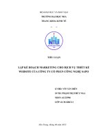 LẬP KẾ HOẠCH MARKETING CHO DỊCH VỤ THIẾT KẾ WEBSITE CỦA CÔNG TY CỔ PHẦN CÔNG NGHỆ SAPO