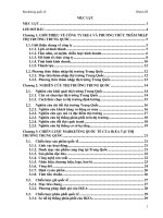 CHIẾN LƯỢC MARKETING QUỐC TẾ CỦA IKEA TẠI THỊ  TRƯỜNG TRUNG QUỐC