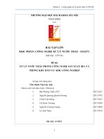 BÀI tập lớn học PHẦN CÔNG NGHỆ xử lý nước THẢI EE4271  đề tài xử lý nước THẢI TRONG CÔNG NGHỆ sản XUẤT BIA và TRONG KHU dân cư KHU CÔNG NGHIỆP 