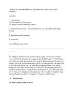 Analysis of consumer behaviour and marketing strategy of a typical enterprise 