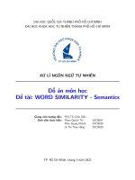 XỬ lí NGÔN NGỮ tự NHIÊN đồ án môn học đề tài WORD SIMILARITY   semantics 