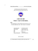 Hoạt động đầu tư trực tiếp ra nước ngoài của các doanh nghiệp việt nam   thực trạng và giải pháp 