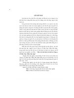 Phân tích tình hình tài chính tại công ty cổ phần thực phẩm hữu nghị 