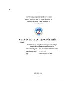 Phát triển hoạt động thanh toán quốc tế tại ngân hàng công thương chi nhánh cửa lò 