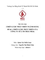 tiểu luận CHIẾN lược PHÁT TRIỂN NGÀNH HÀNG đề tài  CHIẾN lược PHÁT TRIỂN của CÔNG TY sữa TH TRUE MILK 