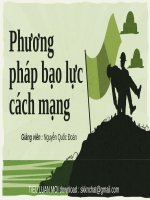 Phương pháp bạo lực cách mạng 
