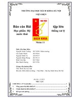 báo cáo bài tập lớn học phần hệ thống xử lý nước thải