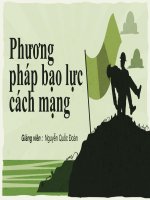 Phương pháp bạo lực cách mạng 