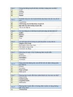 cau hoi on tap truyen du lieu pdf