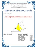 TIỂU LUẬN HÌNH học sơ cấp đề tài NGHIÊN cứu QUAN hệ VUÔNG góc TRONG KHÔNG GIAN 