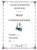 Phát triển năng lực dạy học môn toán ở tiểu học