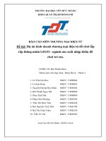 Đề tài Dự án kinh doanh thương mại điện tử đồ chơi lắp rắp thông minh LEGO - ngành sản xuất nhập khẩu đồ chơi trẻ em