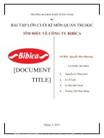 BÀI tập lớn CUỐI kì môn QUẢN TRỊ học tìm HIỂU về CÔNG TY BIBICA 