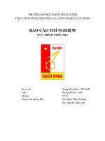 BÁO cáo THÍ NGHIỆM QUÁ TRÌNH THIẾT bị i bài 1 xác định vận tốc lắng trong môi trường thực phẩm lỏng 