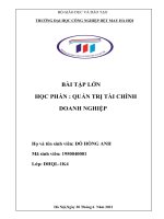 BÀI tập lớn học PHẦN  QUẢN TRỊ tài CHÍNH DOANH NGHIỆP lịch sử hình thành và phát triển của công ty cổ phần may việt tiến 