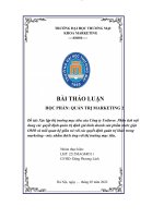 Xác lập thị trường mục tiêu của công ty Unilever và phân tích nội dung các quyết định quản trị định giá kinh doanh sản phẩm nước giặt Omo (Quản trị marketing