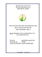 TIỂU LUẬN đề tài tìm HIỂU về sự ẢNH HƯỞNG của làn SÓNG HALLYU 