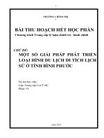 tiểu luận trung cấp chính trị   một số GIẢI PHÁP PHÁT TRIỂN LOẠI HÌNH DU LỊCH DI TÍCH LỊCH sử ở TỈNH BÌNH PHƯỚC