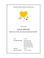 TIỂU LUẬN chủ đề TÌNH yêu sự tích cực và tiêu cực trong trong tình yêu lứa đôi 