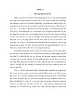 Phát triển dịch vụ truyền thông marketing online cho sản phẩm bánh richy karo của công ty TNHH truyền thông thịnh vượng