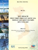 QUY HOẠCH PHÁT TRIỂN ĐIỆN LỰC QUỐC GIA THỜI KỲ 20212030 TẦM NHÌN ĐẾN NĂM 2045