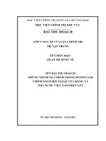 tiểu luận CCCT những nội dung chính trong đường lối, chính sách ngoại giao của đảng và nhà nước việt nam hiện nay