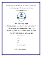 NÂNG CAO HIỆU QUẢ HOẠT ĐỘNG BÁN HÀNG VÀ MARKETING DỊCH VỤ DIGITALCARE CỦA PHÒNG CHANNEL SALE THUỘC CÔNG TY TNHH TRUYỀN THÔNG CLICK MEDIA  SEO