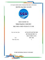 BÁO CÁO ĐỀ TÀI NHẬN DẠNG CẢM XÚC HỌC PHẦN PHÂN TÍCH XỬ LÝ ẢNH