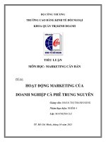 TIỂU LUẬN MÔN HỌC MARKETING CĂN BẢN Đề tài HOẠT ĐỘNG MARKETING CỦA DOANH NGHIỆP CÀ PHÊ TRUNG NGUYÊN