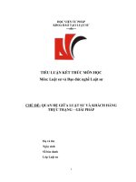 Tiểu luận luật sư và đạo đức nghề luật sư, QUAN HỆ GIỮA LUẬT SƯ VÀ KHÁCH HÀNG THỰC TRẠNG – GIẢI PHÁP