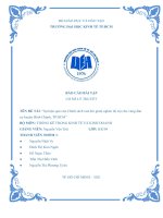 Báo cáo môn học Dự án thống kê