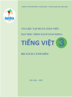 TÀI LIỆU tập HUẤN GIÁO VIÊN dạy học THEO SÁCH GIÁO KHOA TIẾNG VIỆT lớp 3 bộ CÁNH DIỀU 