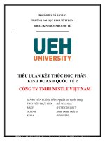 TIỂU LUẬN kết THÚC học PHẦN KINH DOANH QUỐC tế 2 CÔNG TY TNHH NESTLE VIỆT NAM 