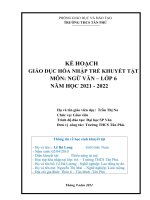 Kế hoạch giáo dục hòa nhập học sinh khuyết tật môn Ngữ văn lớp 6 (2021-2022)