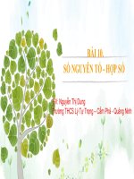 Toán 6 chương trình mới  Bài 10: số nguyên tố hợp số