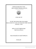 Tổ chức một số hoạt động trải nghiệm trong chủ đề tết và mùa xuân nhằm phát triển thẩm mĩ cho trẻ 5   6 tuổi 
