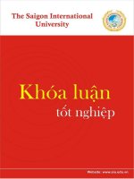 Khóa luận Thực trạng và đề xuất các giải pháp nhằm hoàn thiện công tác xuất khẩu hàng dệt may sang thị trường Nhật Bản của Tổng Công ty Cổ phần May Việt Tiến
