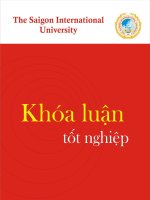 Khóa luận Nghiên cứu hoạt động marketing online cho trang web Bảo Hộ Xanh tại công ty TNHH Net Corporation