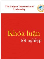 Khóa luận Một số giải pháp nâng cao hiệu quả hoạt động sản xuất kinh doanh của Công ty TNHH Sacred Earth Việt Nam tại Bình Dương