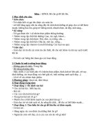 KPKH bé cần gì để lớp lên Lớp mầm 3-4 tuổi