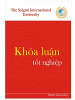Khóa luận Phân tích hoạt động quản lý sản xuất tại công ty TNHH Thương Việt