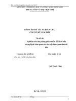 BÁO cáo đề tài NGHIÊN cứu cấp cơ sở năm 2021 tên đề tài nghiên cứu ứng dụng phần mềm STK để xây dựng kịch bản quan sát cho vệ tinh quan sát trái đất 