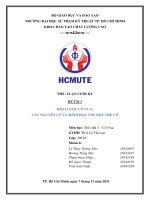 TIỂU LUẬN CỜ VUA. KHAI CUỘC CỜ VUA: CÁC NGUYÊN LÝ VÀ MINH HỌA VỚI MỘT THẾ CỜ