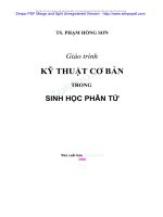 Giáo trình KỸ THUẬT CƠ BẢN TRONG SINH HỌC PHÂN TỬ.TS. Phạm Hồng Sơn