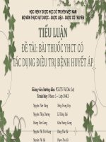 TIỂU LUẬN đề tài bài THUỐC YHCT có tác DUNG điều TRI BỀNH HUYỀT áp 