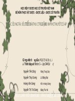 TIỂU LUẬN đề tài bài THUỐC YHCT có tác DUNG điều TRI BỀNH HUYỀT áp 