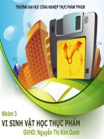 Tiểu luận đề tài: : Vi sinh vật chưa có tế bào (Akaryotes)  virus