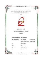 BÁO cáo CUỐI kì môn các kĩ thuật giám sát an toàn mạng 