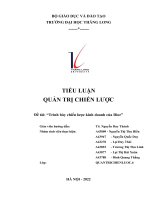 TIỂU LUẬN QUẢN TRỊ CHIẾN lược đề tài trình bày chiến lược kinh doanh của dior 