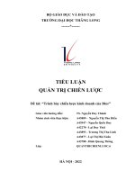 TIỂU LUẬN QUẢN TRỊ CHIẾN LƯỢC Đề tài Trình bày chiến lược kinh doanh của Dior